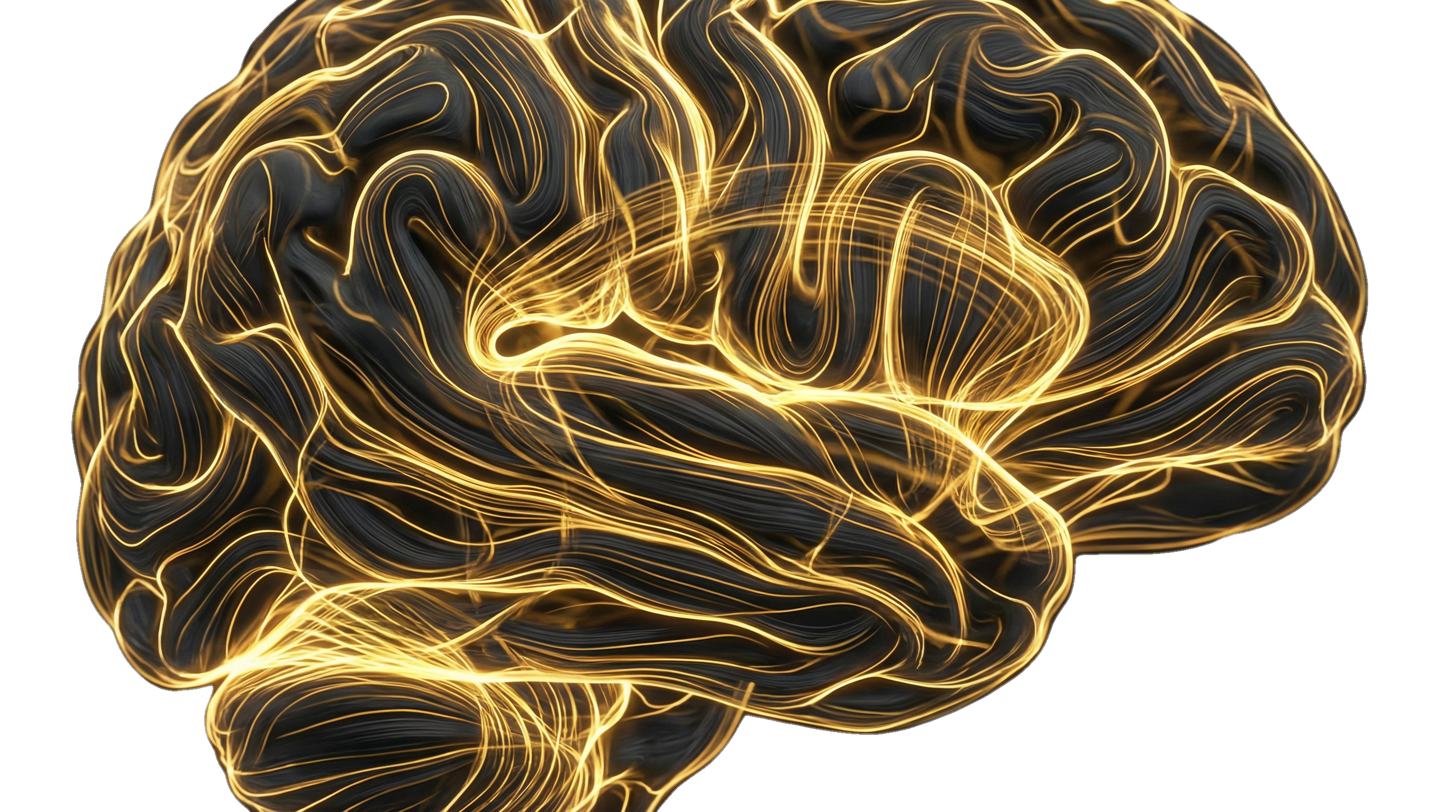 Smart Asset Management